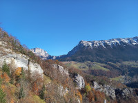 Couleurs de l'automne et le pinet à droite